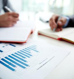 podjetniško svetovanje Bela krajina