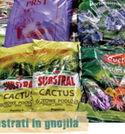 Poceni lončnice Osrednja Slovenija