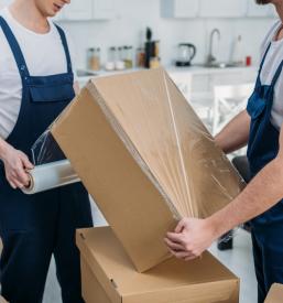 ugoden selitveni servis Nova Gorica, Goriška