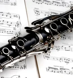 Učenje violine Tržič