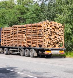 Consegna di legna e pellet Italia