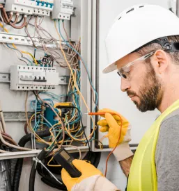 Elektro svetovanje Koper, Primorska