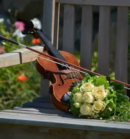Učne ure violine Tržič