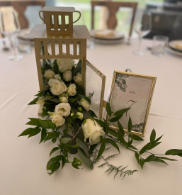 Organizacija porok in dogodkov Slovenj Gradec