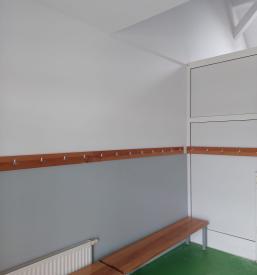 Slikopleskarstvo Štajerska