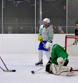 Hokej na ledu, Savinjska