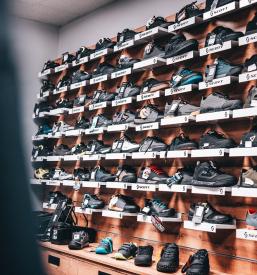 Cena gorskih koles Štajerska