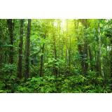 Turistično društvo Loška dolina