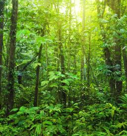 Lovski muzej Loška dolina