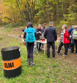 Vertovčeve poti Goriška