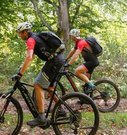 Ugodna izposoja koles Bela krajina