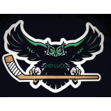 Hokejsko društvo Luče