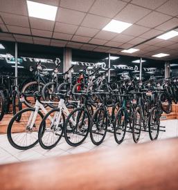 Gorska kolesa cena Štajerska