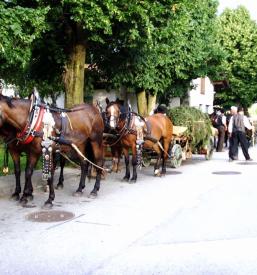 Kulturna dediščina Vipavska dolina