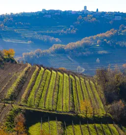Ohranjanje dediščine Trnovo pri Gorici