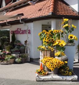 Podjetje s kvalitetnimi pogrebnimi storitvami