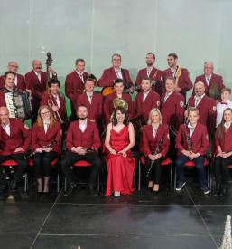 Nastop godbe na dogodkih Sevnica, Posavje