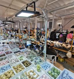 Sejem MINFOS Tržič