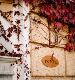 Poceni in dobra kosila Domžale