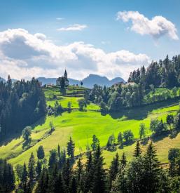 Organizacija dogodkov in prireditev Koroška