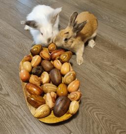 Unikatna darila goriška