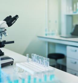 Ekološka laboratorijska analiza Slovenija