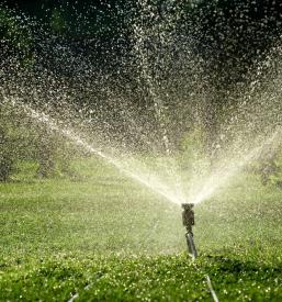 ugodna Izvedba namakalnih sistemov Primorska