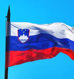 Slovensko-škotsko povezovanje Ljubljana