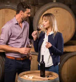 Vinarija i degustacije vrhunskih vina Brič, Buje, Hrvatska