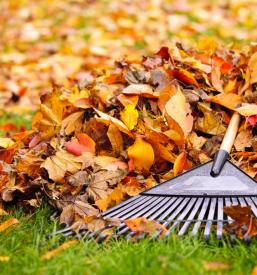 ugodno Urejanje okolice Notranjska in Slovenija