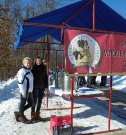 Promocija in ocenjevanje vin Dolenjska