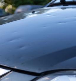 Ugodno avtoličarstvo in avtokleparstvo Savinjska