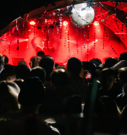 Organizacija alternativnih dogodkov Bela krajina