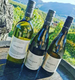 Prodaja vin Savinjska