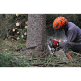 Agrarna skupnost Gorjuše