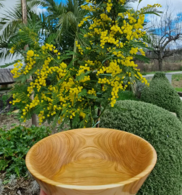 Urejanje vrta Goriška