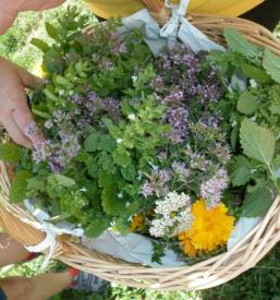 Poletni tabor za otroke