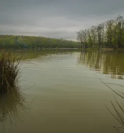 Kulturno društvo Horvat Petišovci, Lendava