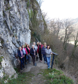 Vpis v izobraževanje starejših Posavje