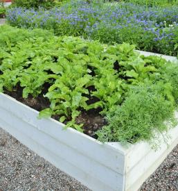 Dostava visokih betonskih gred Ljubljana, Slovenija