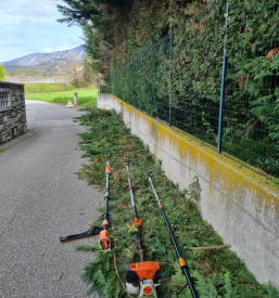 Obrezovanje vej Goriška