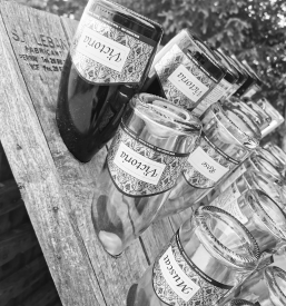 Degustacije vrhunskih vin Štajerska