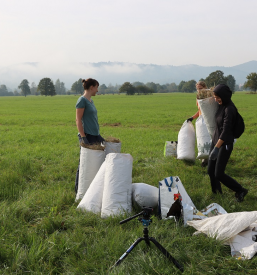 Raziskovanje ptic in narave Slovenija