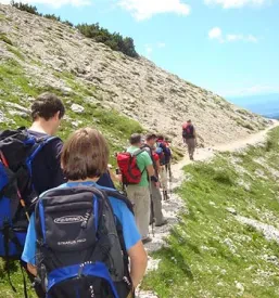 Organiziranje izletov in pohodov po Sloveniji