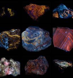 Izvedba sejma MINFOS Tržič