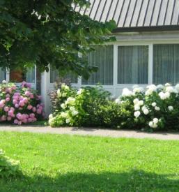 Pristop k vpisu v vrtec in osnovno šolo Goriška