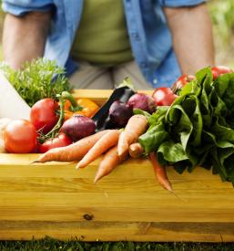 Pridelava domače zelenjave Maribor