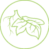 Trsničarstvo Bec d.o.o.