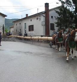 Etnologija in ohranjanje dediščine Vipavska dolina