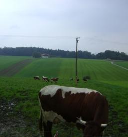 Informiranje in izobraževanje ekoloških kmetij Gorenjska